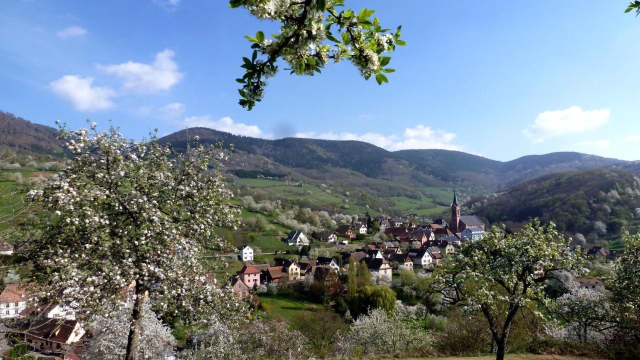 Les Gites La Cerisaie Breitenbach Exterior foto